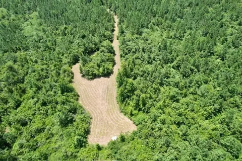 tbd Deer Camp Rd, Braxton, MS 39044 photo 3