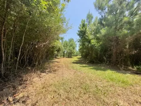 tbd Deer Camp Rd, Braxton, MS 39044 photo 14