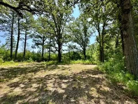 tbd Deer Camp Rd, Braxton, MS 39044 photo 12