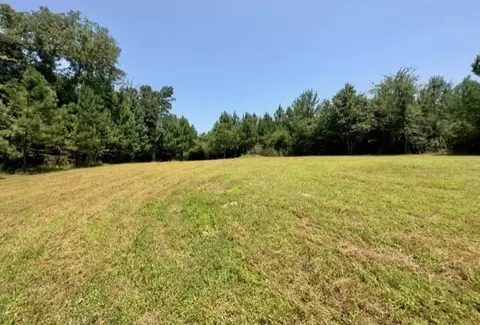 tbd Deer Camp Rd, Braxton, MS 39044 photo 16