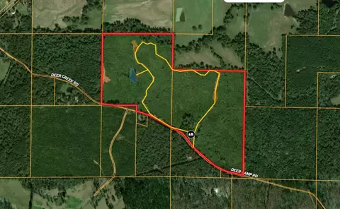 tbd Deer Camp Rd, Braxton, MS 39044 photo 21