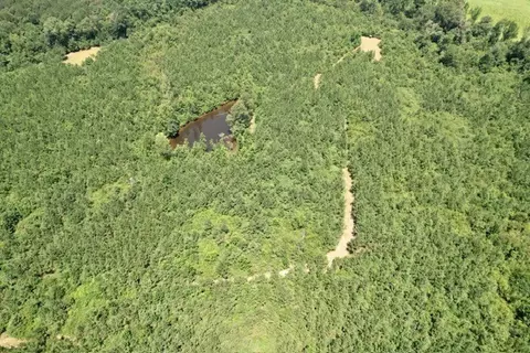 tbd Deer Camp Rd, Braxton, MS 39044 photo 6