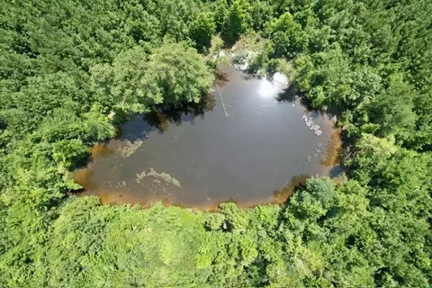 tbd Deer Camp Rd, Braxton, MS 39044 photo 4