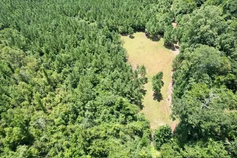 tbd Deer Camp Rd, Braxton, MS 39044 photo 5