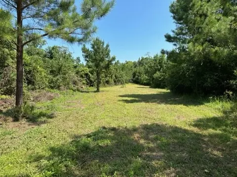 tbd Deer Camp Rd, Braxton, MS 39044 photo 7