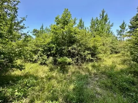 tbd Deer Camp Rd, Braxton, MS 39044 photo 11