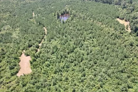 tbd Deer Camp Rd, Braxton, MS 39044