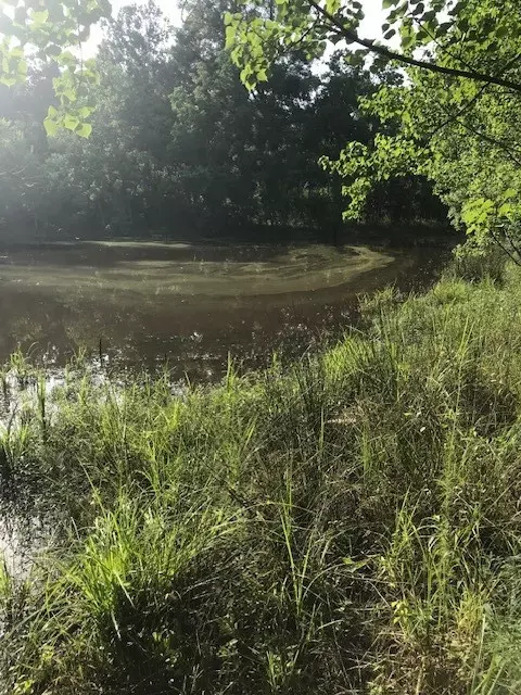 0 Highway 98, Summit, MS 39666 photo 2