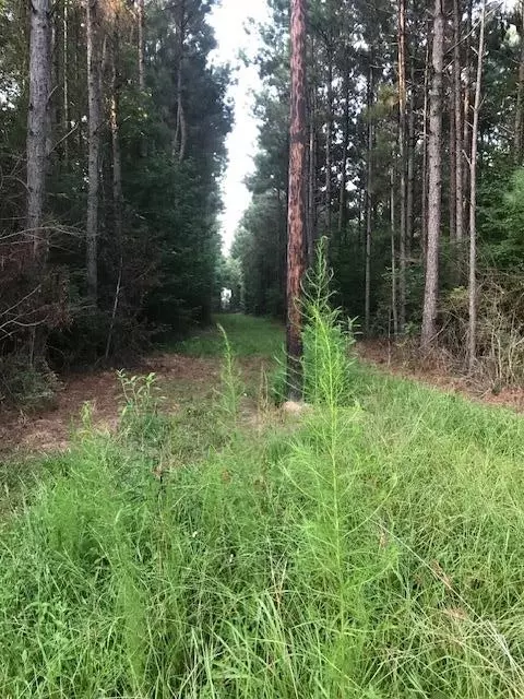 0 Highway 98, Summit, MS 39666