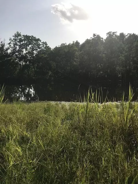 0 Highway 98, Summit, MS 39666 photo 5