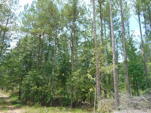 5700 Monticello Rd, Wesson, MS 39191 photo 39
