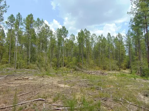 5700 Monticello Rd, Wesson, MS 39191 photo 35
