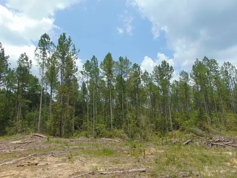 5700 Monticello Rd, Wesson, MS 39191 photo 38