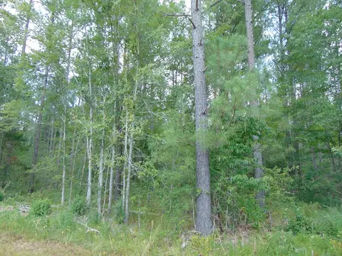 5700 Monticello Rd, Wesson, MS 39191 photo 42