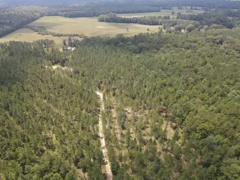 5700 Monticello Rd, Wesson, MS 39191 photo 3