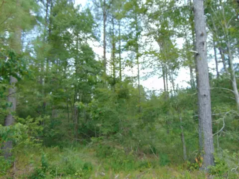 5700 Monticello Rd, Wesson, MS 39191 photo 44