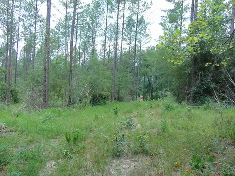 5700 Monticello Rd, Wesson, MS 39191 photo 23