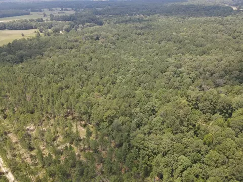 5700 Monticello Rd, Wesson, MS 39191 photo 4