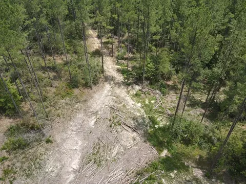 5700 Monticello Rd, Wesson, MS 39191 photo 14