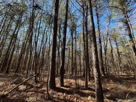 2 Levi Cooper Rd, Braxton, MS 39044 photo 12