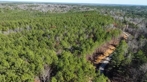 2 Levi Cooper Rd, Braxton, MS 39044 photo 10