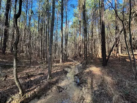 2 Levi Cooper Rd, Braxton, MS 39044 photo 16