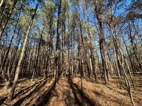 2 Levi Cooper Rd, Braxton, MS 39044 photo 11