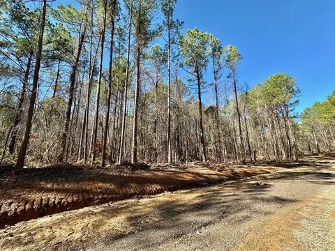 2 Levi Cooper Rd, Braxton, MS 39044 photo 9