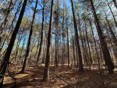 2 Levi Cooper Rd, Braxton, MS 39044