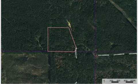 2 Levi Cooper Rd, Braxton, MS 39044 photo 2