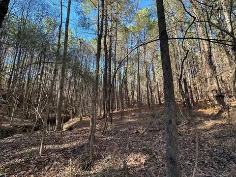 2 Levi Cooper Rd, Braxton, MS 39044 photo 14