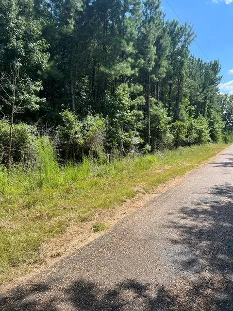 1895 Pleasant Ridge Rd NW, Wesson, MS 39191 photo 6