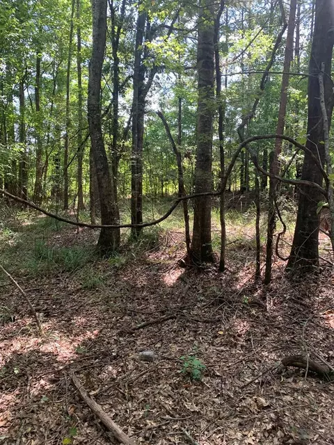 1895 Pleasant Ridge Rd NW, Wesson, MS 39191