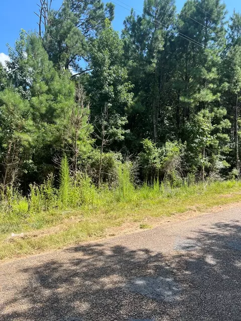 1895 Pleasant Ridge Rd NW, Wesson, MS 39191 photo 2