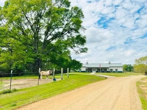 1197 Chester Reeves Rd, Mccomb, MS 39648 photo 1