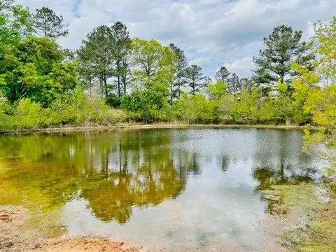 1197 Chester Reeves Rd, Mccomb, MS 39648 photo 3