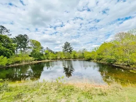1197 Chester Reeves Rd, Mccomb, MS 39648 photo 31