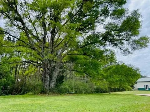 1197 Chester Reeves Rd, Mccomb, MS 39648 photo 30