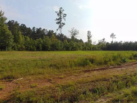 391 Baldwin Loop, Brookhaven, MS 39601 photo 38