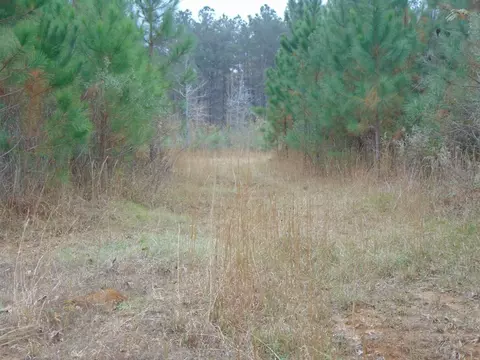 391 Baldwin Loop, Brookhaven, MS 39601 photo 27