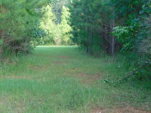 391 Baldwin Loop, Brookhaven, MS 39601 photo 43