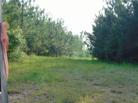 391 Baldwin Loop, Brookhaven, MS 39601 photo 47
