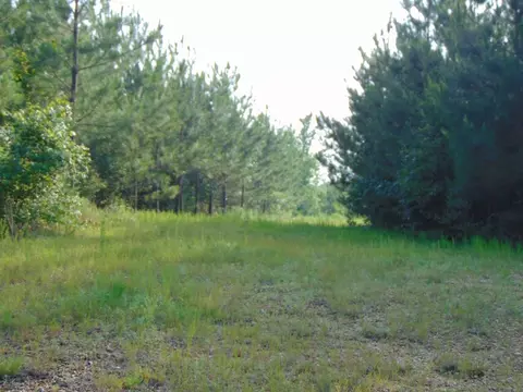 391 Baldwin Loop, Brookhaven, MS 39601 photo 48