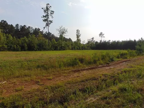 391 Baldwin Loop, Brookhaven, MS 39601 photo 37