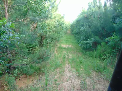 391 Baldwin Loop, Brookhaven, MS 39601 photo 52
