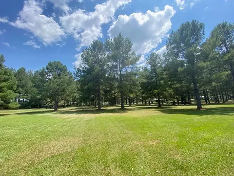 2098 Robert Jones Rd, Summit, MS 39666 photo 24