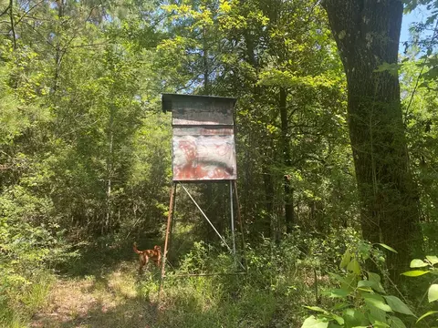 tbd Hwy 584, Osyka, MS 39657 photo 5