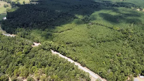 tbd Hwy 584, Osyka, MS 39657 photo 6