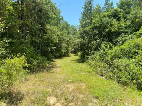 tbd Hwy 584, Osyka, MS 39657 photo 4