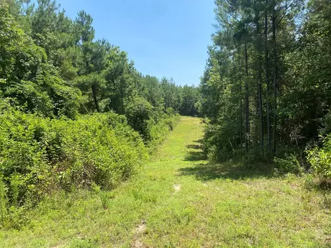 tbd Hwy 584, Osyka, MS 39657 photo 3